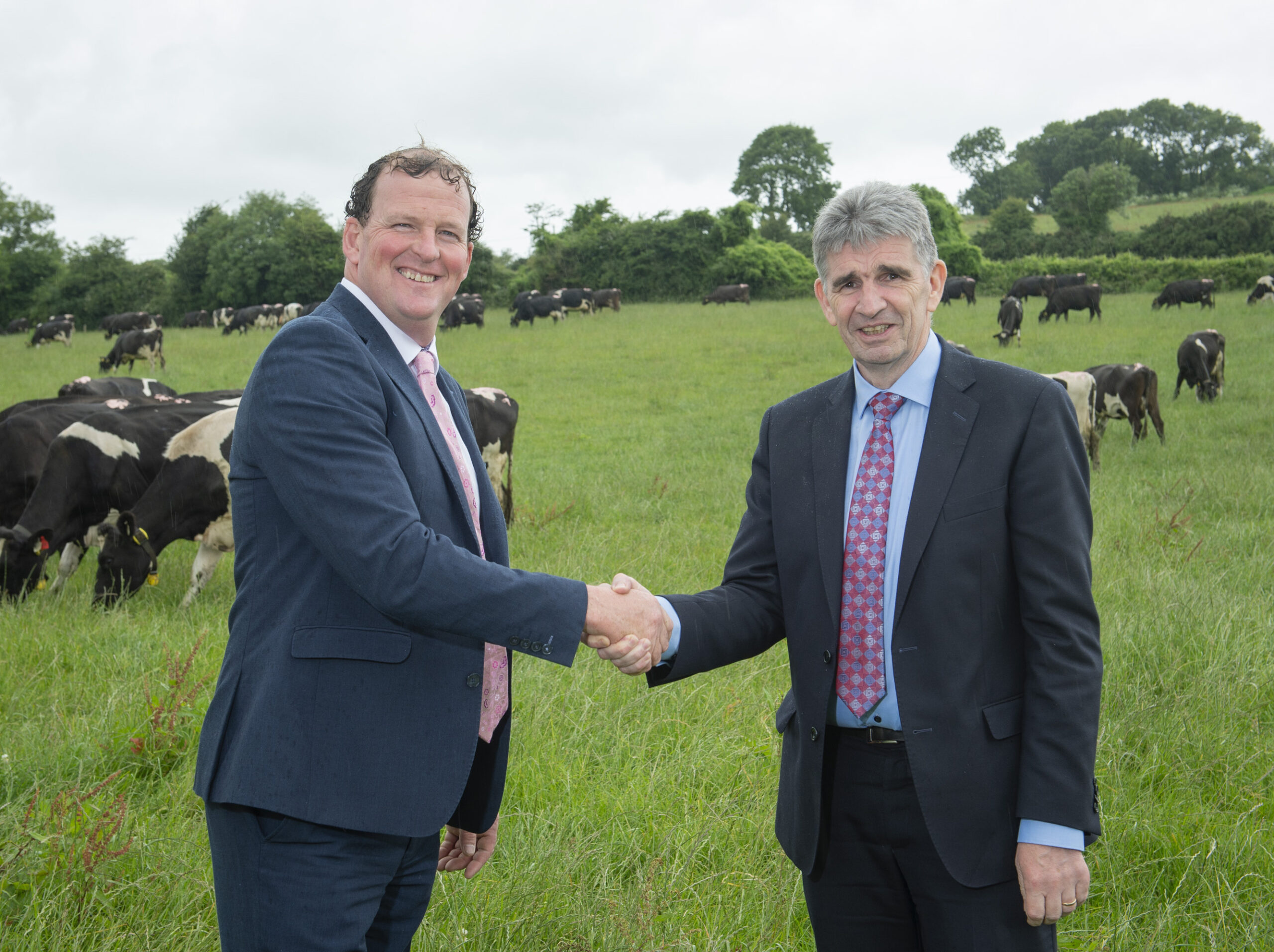 Michael Harte appointed as new Dairygold Chief Executive